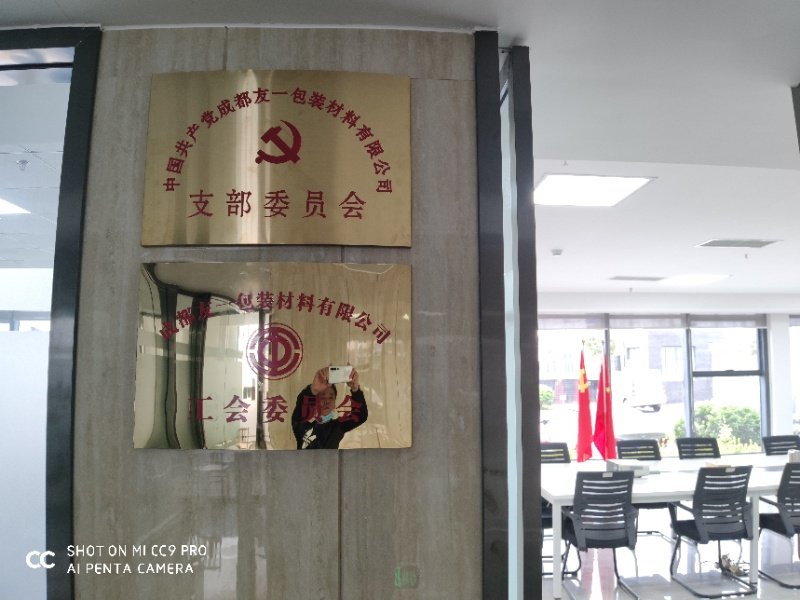 热烈祝贺bte365官网成都分公司党支部在2020年3月11日授牌成立，支部书记曹云(行政部经理)
